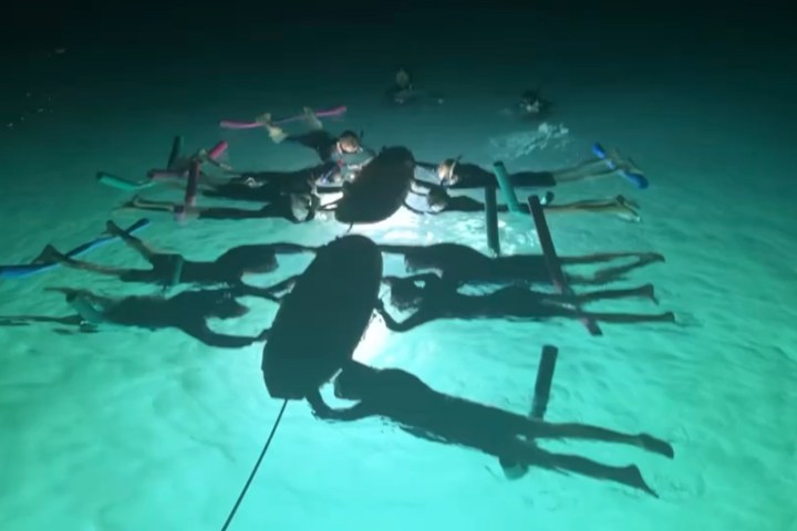 a group of people swimming in the water