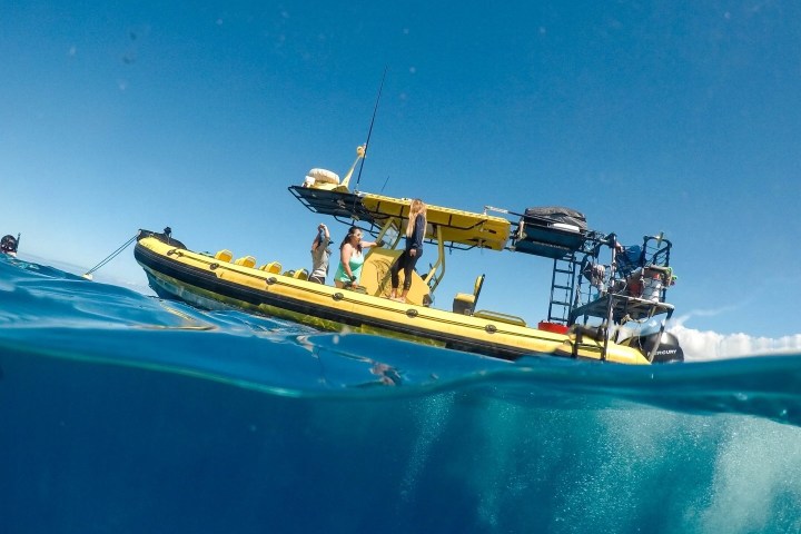 a blue and white boat sitting next to a body of water